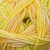 Anthem Chords Color 305