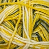 Anthem Chords Color 309