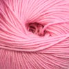 Cascade 220 Superwash Color 836