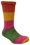 Berroco Sox Color 14221
