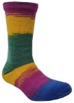 Berroco Sox Color 14223