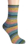 Berroco Sox Color 1490
