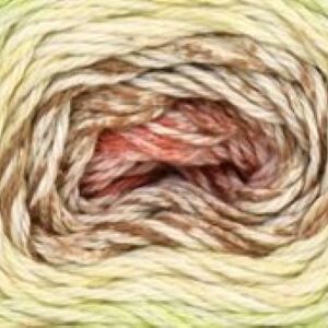 Cotton Supreme DK Waves 902, Autumn Apple