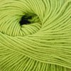 Cascade 220 Superwash Color 887