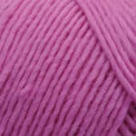 Lamb's Pride Worsted Color 1M105P