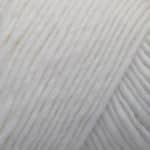 Lamb's Pride Worsted Color 1M11P