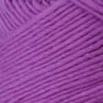 Lamb's Pride Worsted Color 1M161P