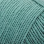 Lamb's Pride Worsted Color 1M16P