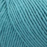 Lamb's Pride Worsted Color 1M196P