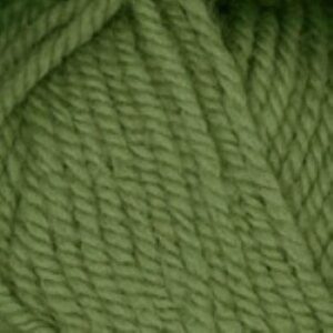 Encore Chunky Yarn 1232