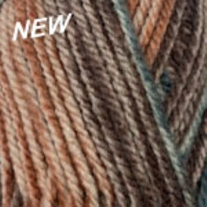 Encore Chunky Colorspun 7803
