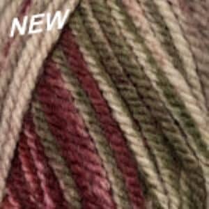 Encore Chunky Colorspun 7804