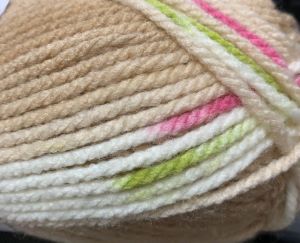 Hayfield Baby Blossom Chunky Color 355, Tiny Tulip.